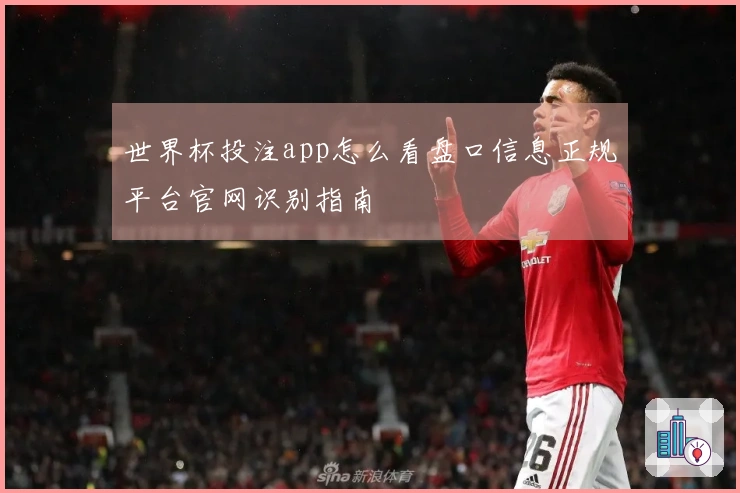 世界杯投注app怎么看盘口信息正规平台官网识别指南