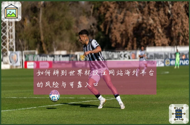 如何辨别世界杯投注网站海外平台的风险与可靠入口